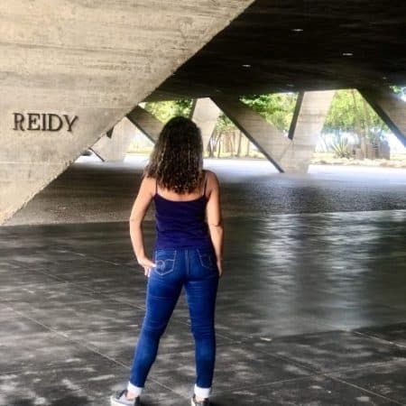 CONHEÇA A HISTÓRIA E ARQUITETURA DO RIO — imagem 3 de 5